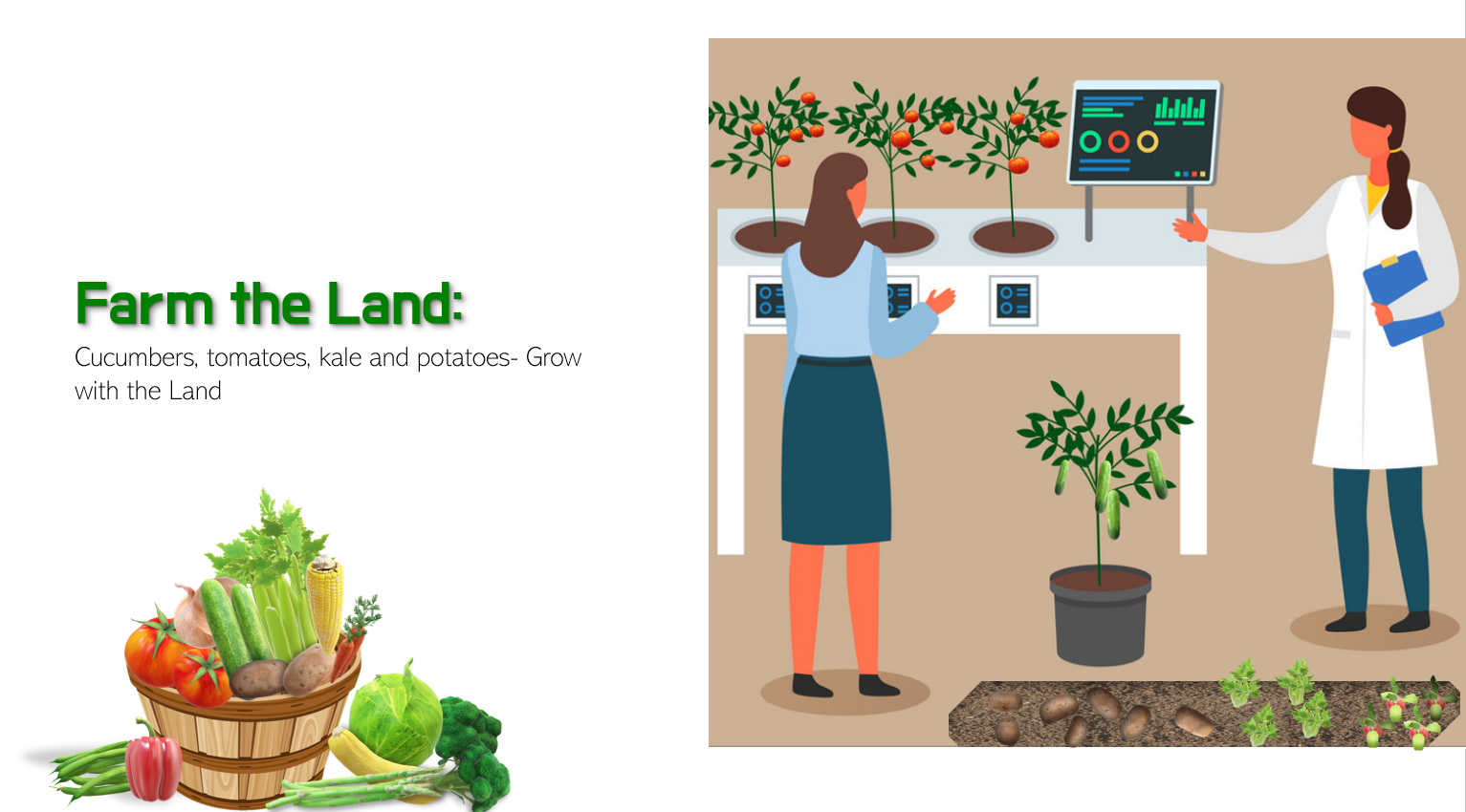 illustrated picture of farming